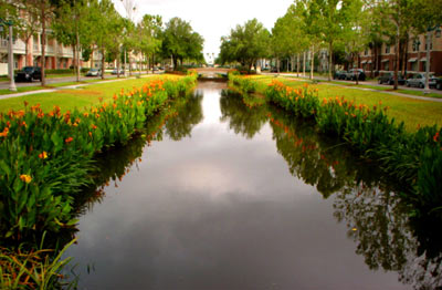 celebration florida real estate