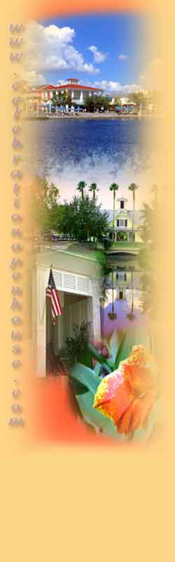clebration fl homes for sale